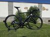 Pinarello Dogma F
