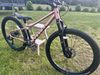 Rascal Wild 26