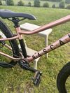 Rascal Wild 26