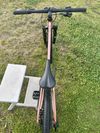 Rascal Wild 26