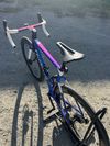 Wilier Filante SLR Disc Azzurro Italia | Super Record WRL | Bora WTO 60 C23 