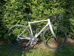 Pells Aeron M - Shimano 105