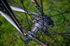 Cinelli Experience