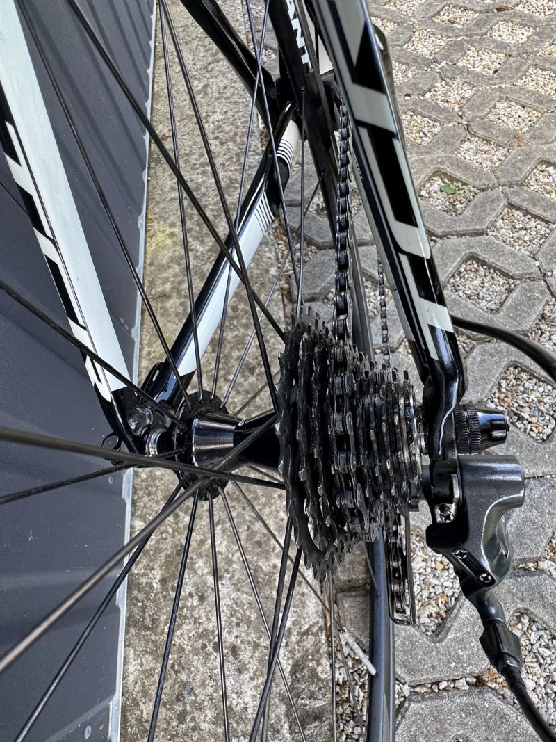 Giant TCR Composite - Ultegra, vel. M 171–181 cm