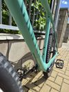 Canyon Exceed CF 7 2024 XL