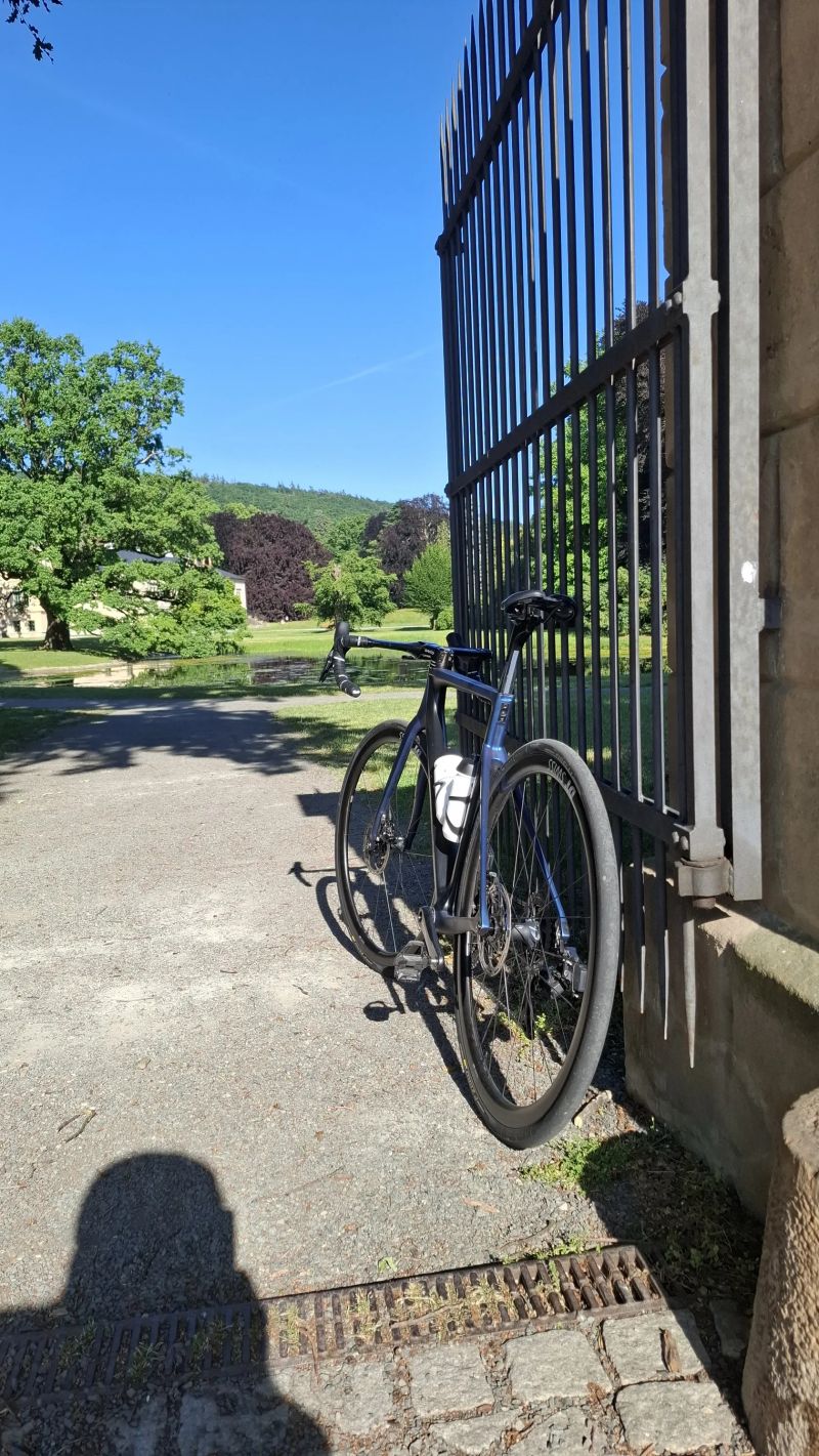 Basso Diamante SV vel. 51