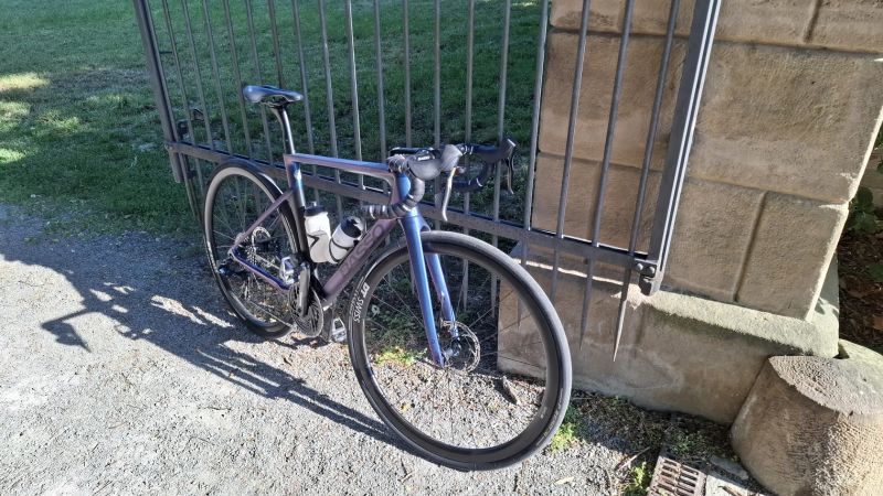 Basso Diamante SV vel. 51