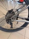 EasyBike Big boss