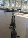 EasyBike Big boss