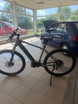 EasyBike Big boss