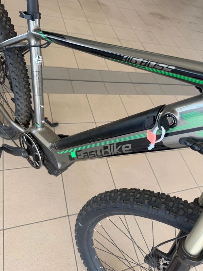EasyBike Big boss