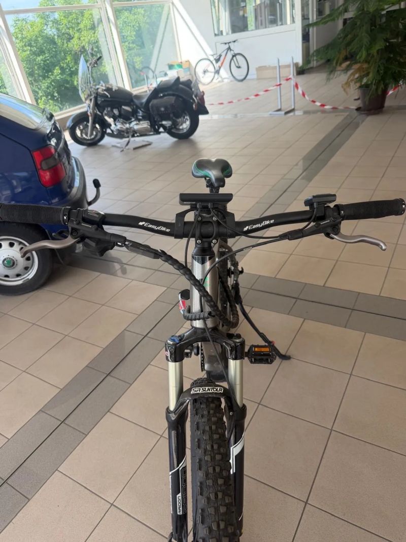EasyBike Big boss