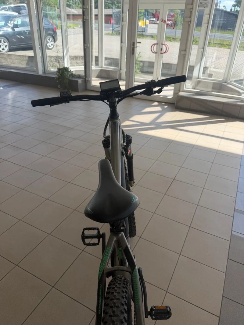 EasyBike Big boss