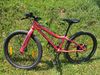 Amulet 24 Youngster Disc