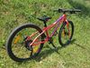 Amulet 24 Youngster Disc