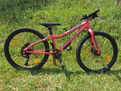 Amulet 24 Youngster Disc
