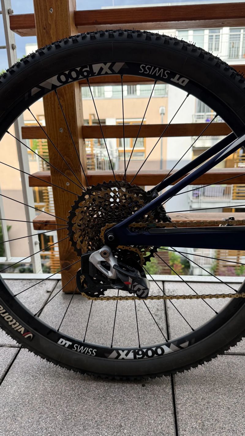 Canyon Lux CF