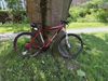 Specialized Carve pro 29