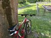 Specialized Carve pro 29