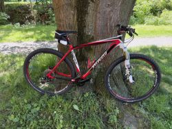 Specialized Carve pro 29