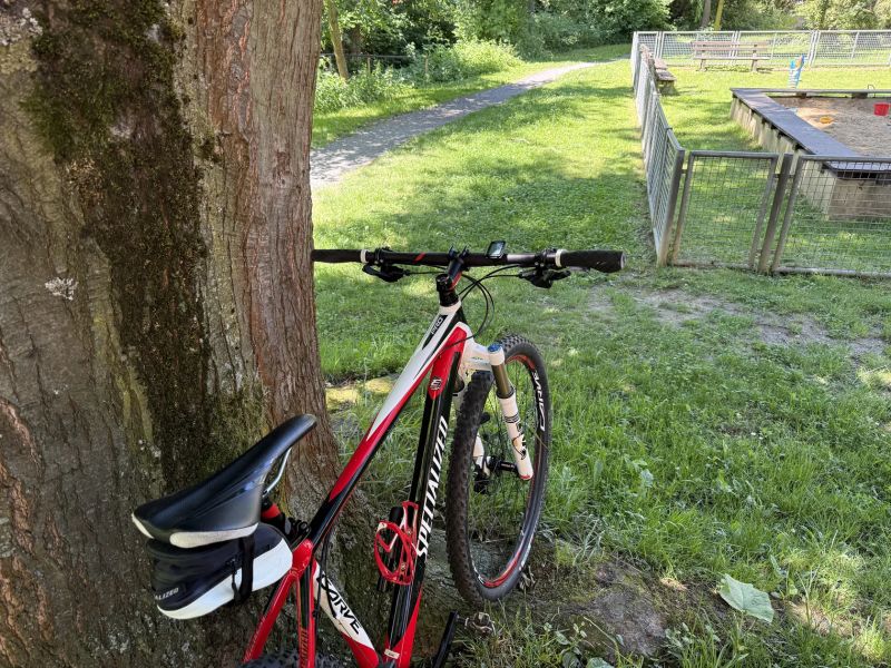 Specialized Carve pro 29