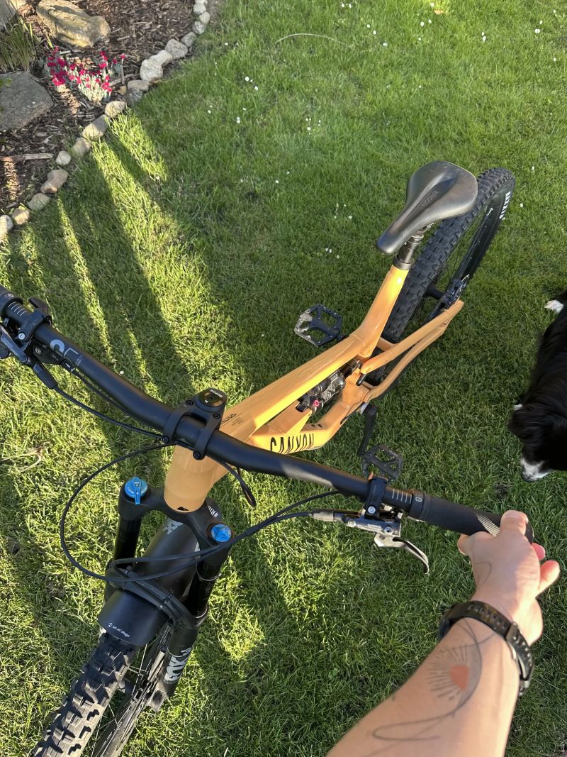 Canyon Spectral AL6