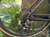Cannondale Synapse Carbon 3L