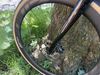 Cannondale Synapse Carbon 3L
