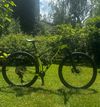 Trek Procaliber 9.6
