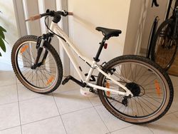 Scott Contessa 24