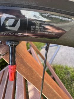 Syncros RP 2.0 disc