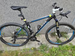 Trek Cobia