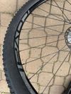 Amulet carbon
