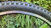 Specialized Hotrock 24