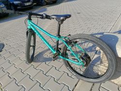 Rascal 20"