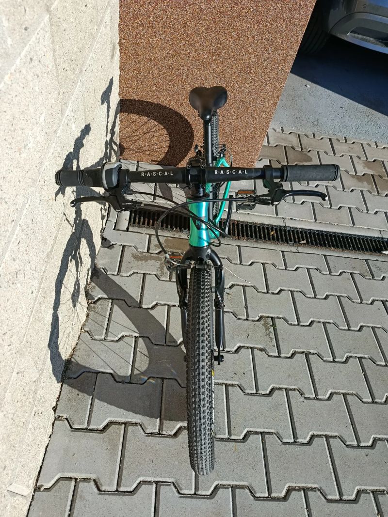 Rascal 20"