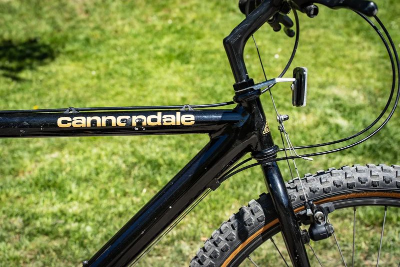 Cannondale SM600