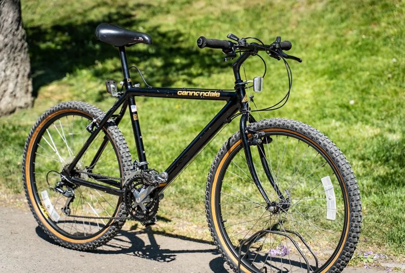 Cannondale SM600