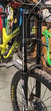 Commencal Supreme DH v3