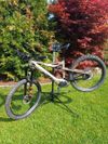 KTM MACINA PROWLER PRESTIGE