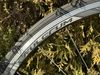 Specialized TARMAC SL4 Comp Ultegra 56 cm