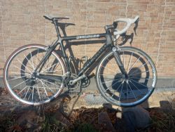 Colnago CX1