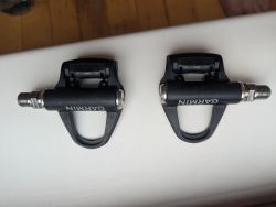 Garmin rally rs 100