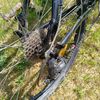 Superior XC810