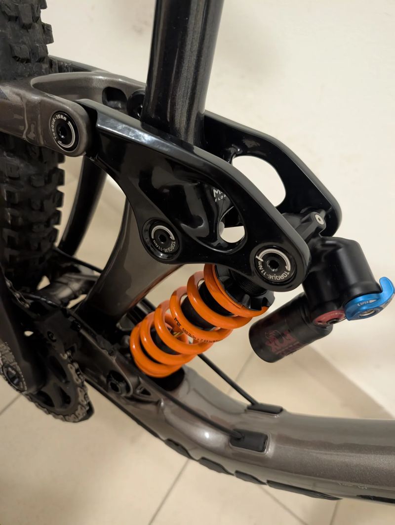 Giant Reign SX