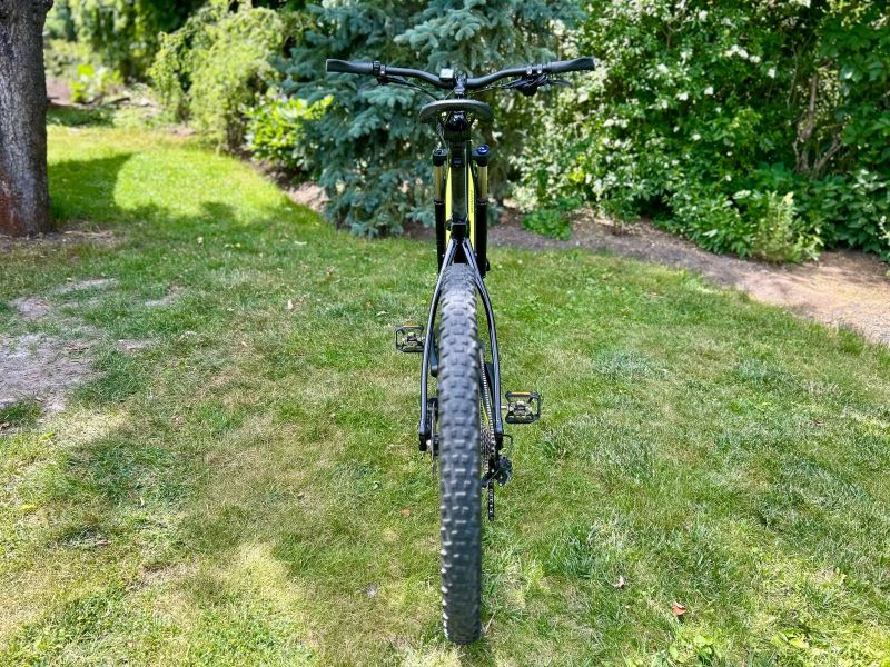 Specialized Turbo Levo