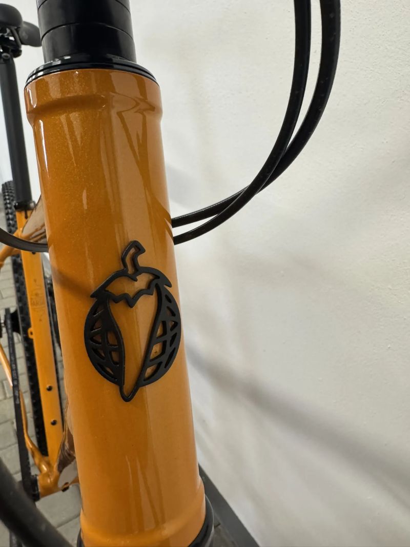 Individuální přestavba - Salsa Fargo L - S pohonem Rohloff 500/14