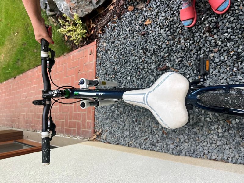Trek Skye SL