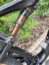 Cannondale Scalpel Hi-Mod 1