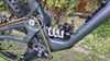Forbidden Druid V1